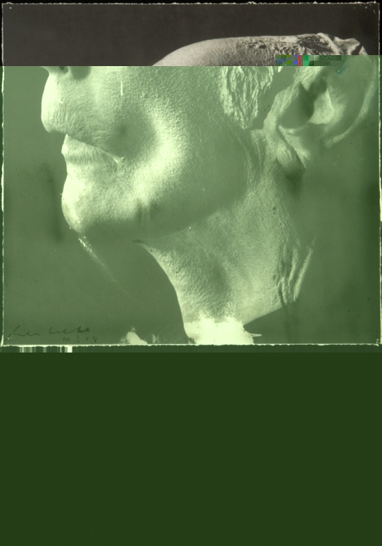 Study 08 Study 08