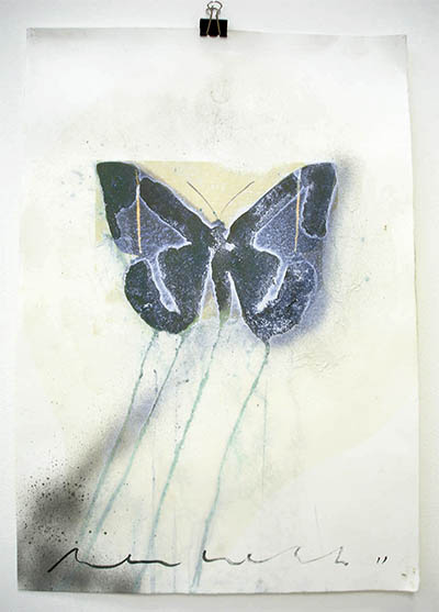 Study 11
