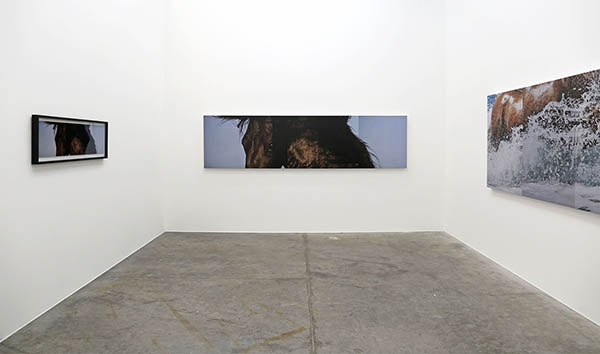 installation view