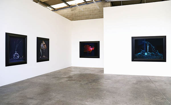 front gallery - installation view