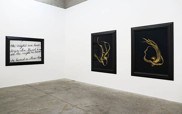 back gallery - installation view