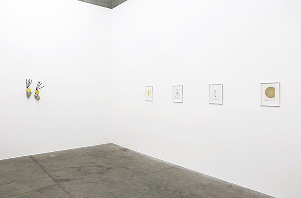 back gallery - installation view